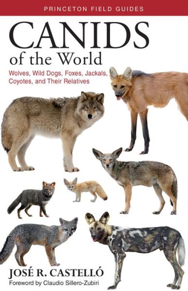 Canids of the World: Wolves, Wild Dogs, Foxes, Jackals, Coyotes, and Their  Relatives – B&N Readouts